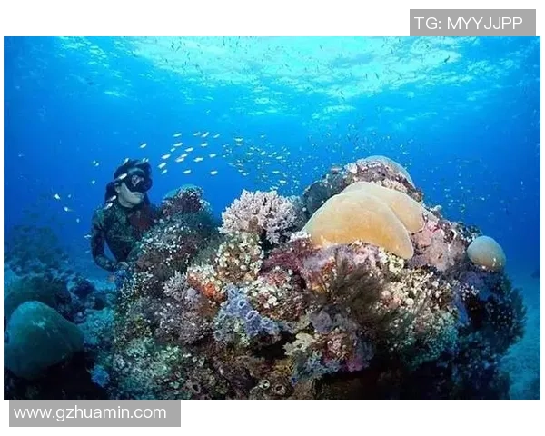 杭州极限运动队的奋斗与荣耀：一场突破自我的精彩旅程